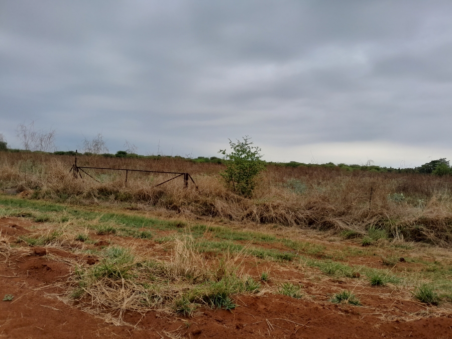Commercial Property for Sale in Zeerust North West